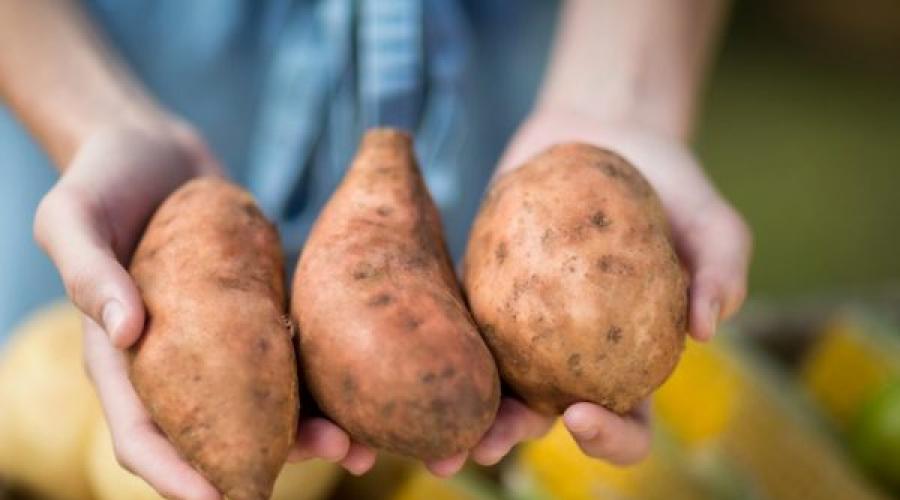 Полезно ли картошку. Картофель и его пищевые волокна