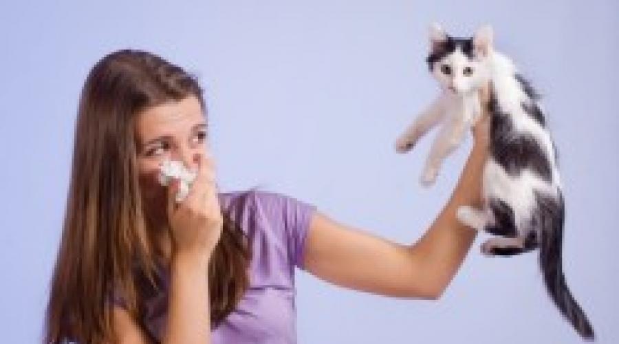 Лечим аллергию в домашних условиях эффективно и быстро. Как лечить аллергические высыпания на коже? Эффективны такие растения как