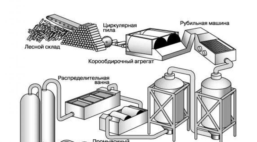Доклад: Целлюлозно-бумажная промышленность России. Целлюлозно-бумажная промышленность