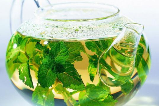 Чай с мятой: польза и вред, полезные свойства и рецепты приготовления