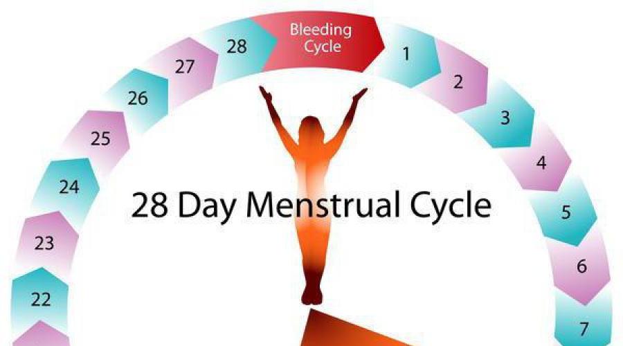 Календарь зачатия и дней безопасного секса. Признаки и симптомы беременности в разные дни цикла