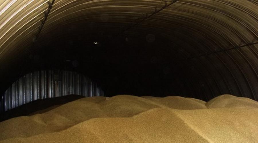 Как хранят зерно, в промышленных масштабах и дома. Хранение семян зерновых и зернобобовых