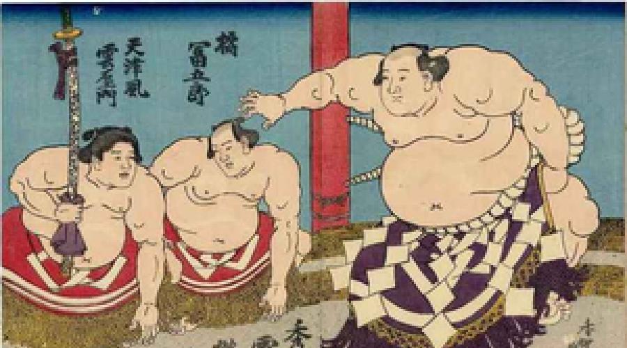  Сумо, японская национальная борьба. 