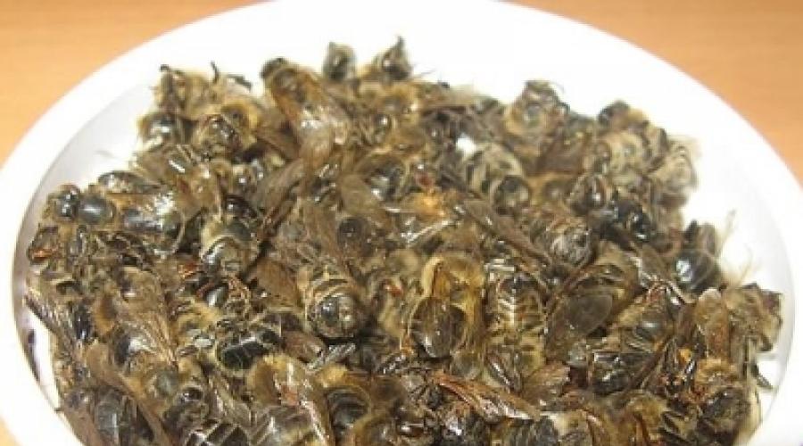 Подмор пчелиный приготовление для применения. Профилактические дозы настойки
