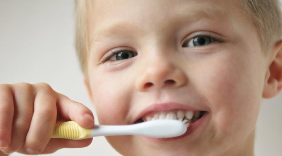 Схема прорезывания и выпадения зубов у детей: график роста, очередность и сроки появления молочных и постоянных зубов. Каковы сроки прорезывания молочных зубов у детей
