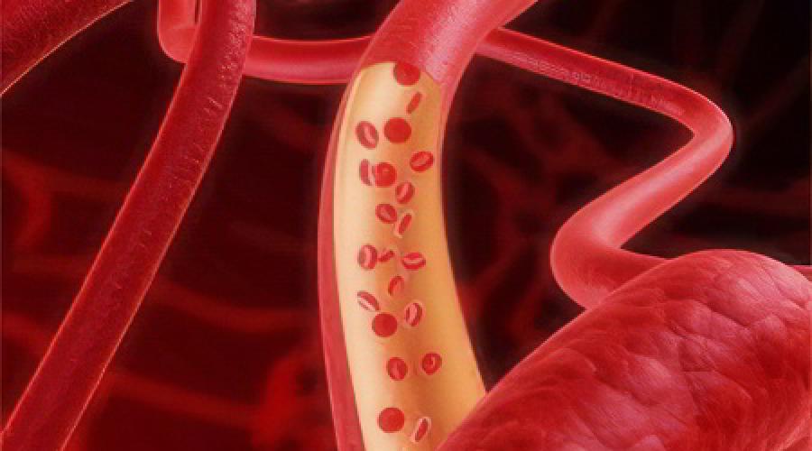 3 вида кровеносных сосудов человека. Функции кровеносных сосудов – артерии, капилляры, вены