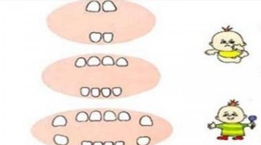 Признаки прорезывания зубов в 6 месяцев. Работа ЖКТ во время прорезывания зубов
