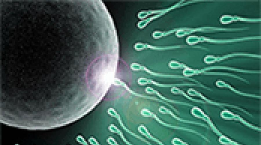 Гормональная контрацепция. Секреты выбора комбинированного орального контрацептива