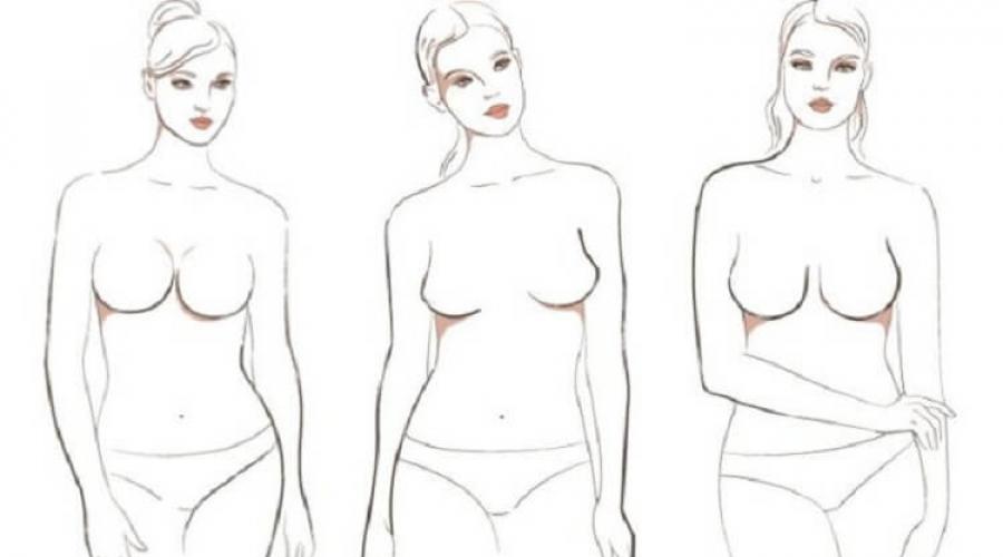 Внутреннее и внешнее строение женской груди: норма и аномалии. Молочная железа