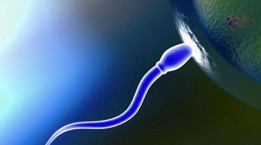 Что такое агглютинация сперматозоидов и как ее лечить? Агглютинация сперматозоидов: как лечить опасный процесс. 