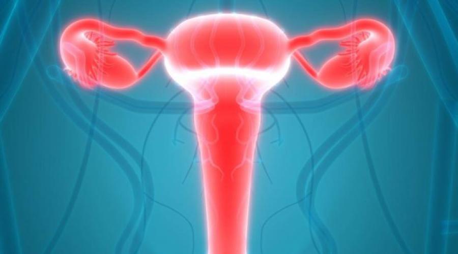 Как лечить воспаление цервикального канала шейки матки. Как проявляется воспаление цервикального канала? Выскабливание цервикального канала
