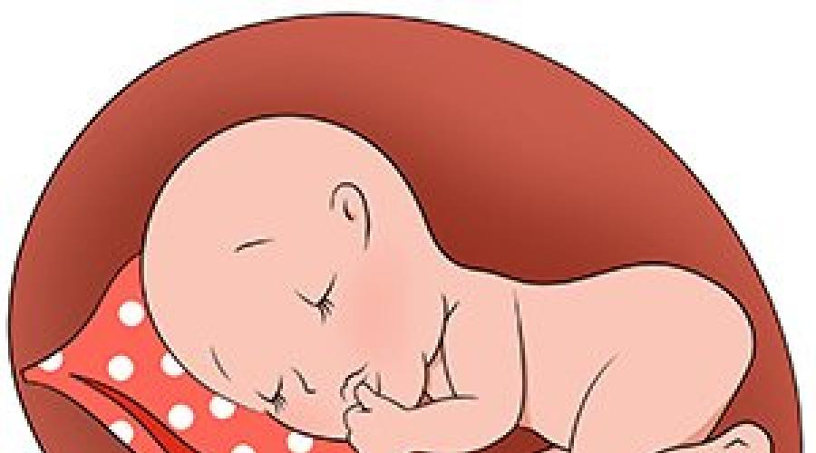 Здоровый сон новорожденного и грудничка. Фазы сна у грудничков – отличие детского сна от взрослого