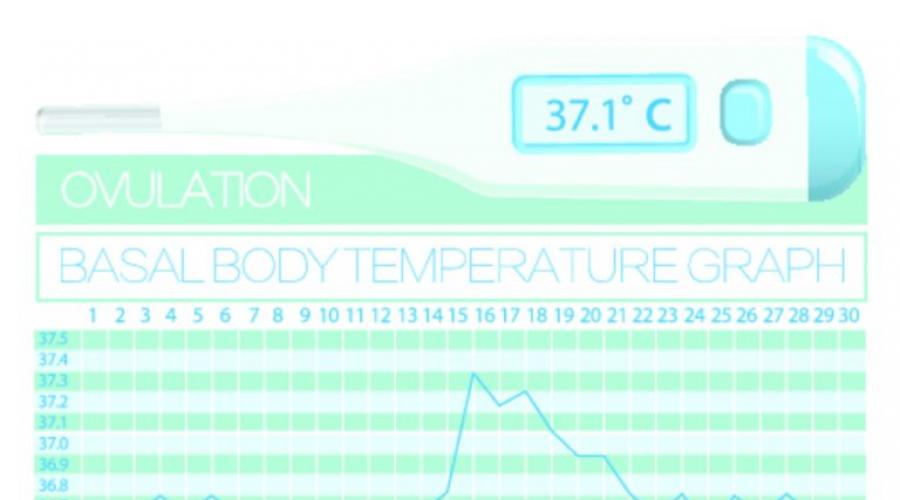 Базальная температура при беременности: что значат температурные показатели. О чем расскажет базальная температура в первой фазе цикла: опасные симптомы
