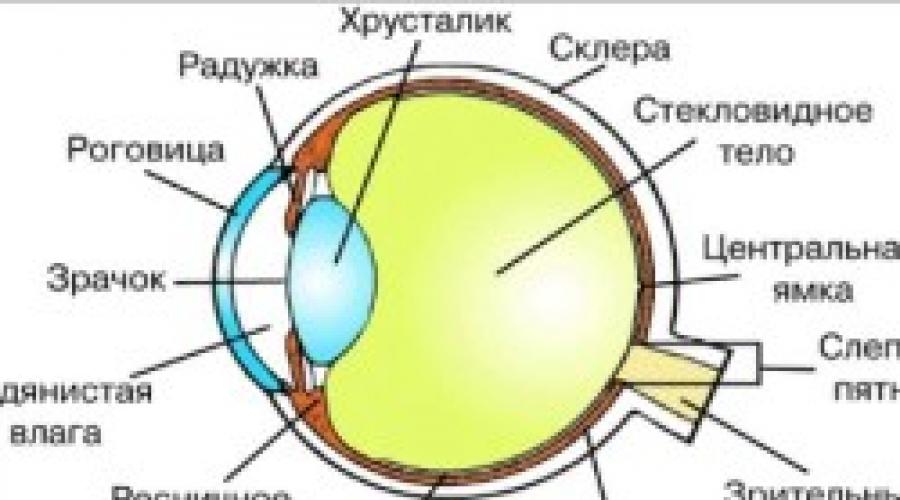 Что страшнее катаракта или глаукома. Признаки и симптомы катаракты и глаукомы