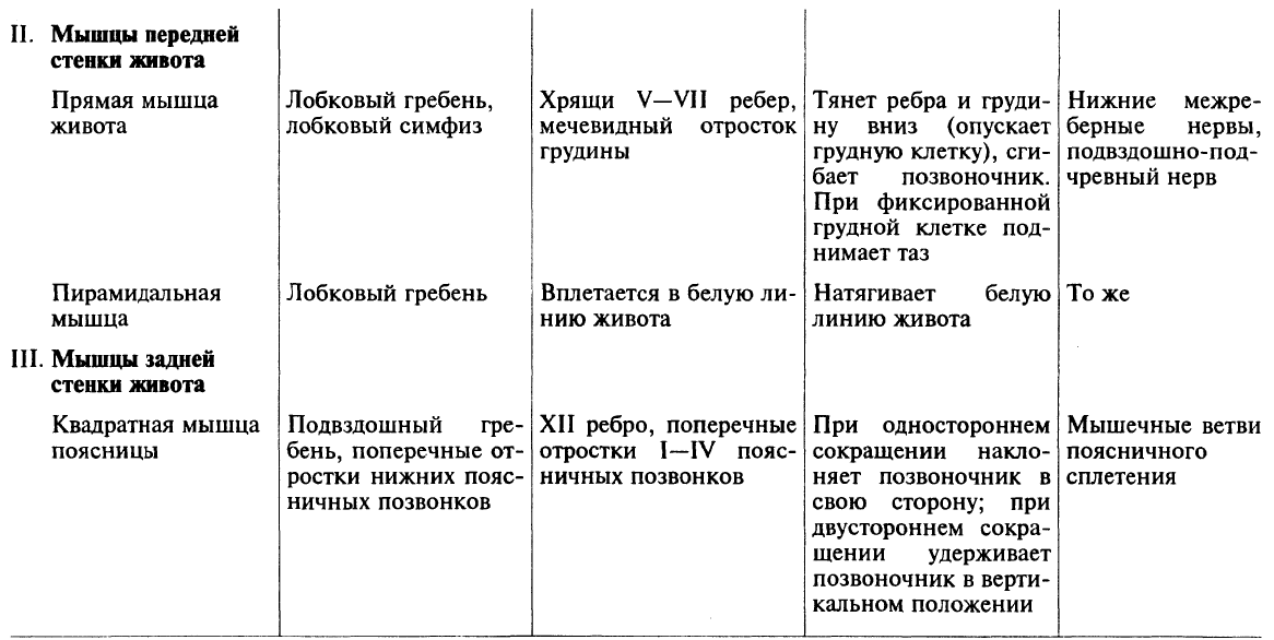 Таблица иннервации мышц. Мышцы груди анатомия таблица. Мышцы живота таблица. Мышцы груди и живота таблица. Мышцы груди таблица прикрепление и функции.