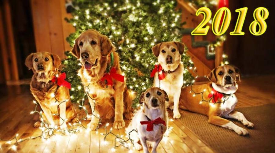  Традиции, приметы и обычаи к Новому году. Как отмечать? Традиции, приметы и обычаи к Новому году Как встречать год Желтой Земляной Собаки