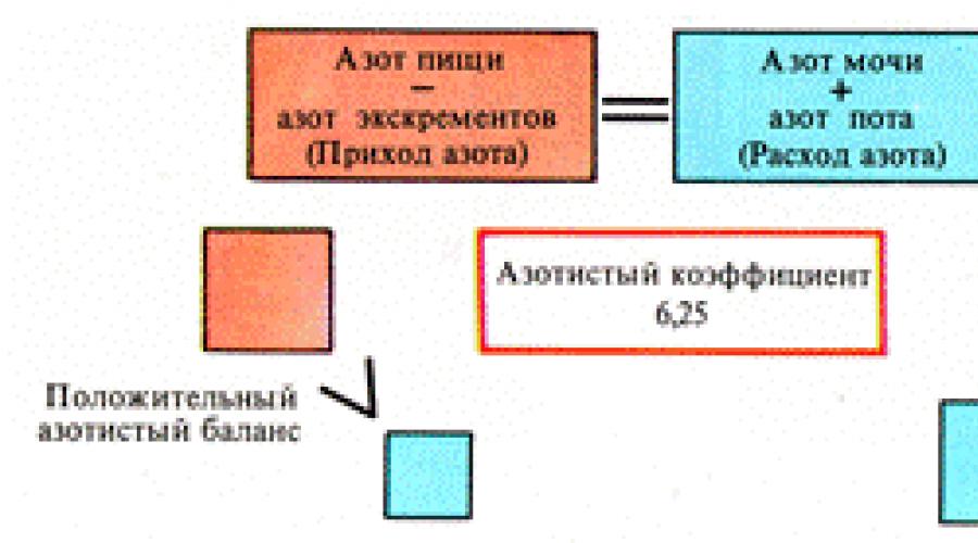 Положительный азотистый баланс это. Азотистый баланс. Положительный азотистый баланс схема. Азотистый баланс биохимия. Виды азотистого баланса биохимия.