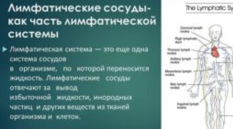 Лимфатических сосудов не имеет. Лимфатические сосуды. Заболевания лимфатической системы человека. Заболевание лимфатической системы симптомы. Болезни лимфатической системы человека симптомы.