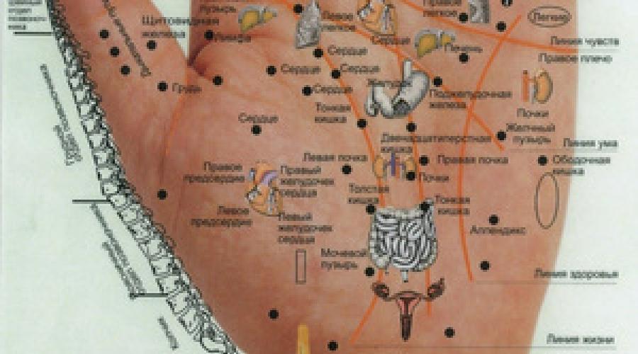 Точки отвечающие за органы. Акупунктура точки на руках. Су-Джок точки уха. Акупунктура точки на руках человека атлас. Атлас акупунктурных точек на ладони.