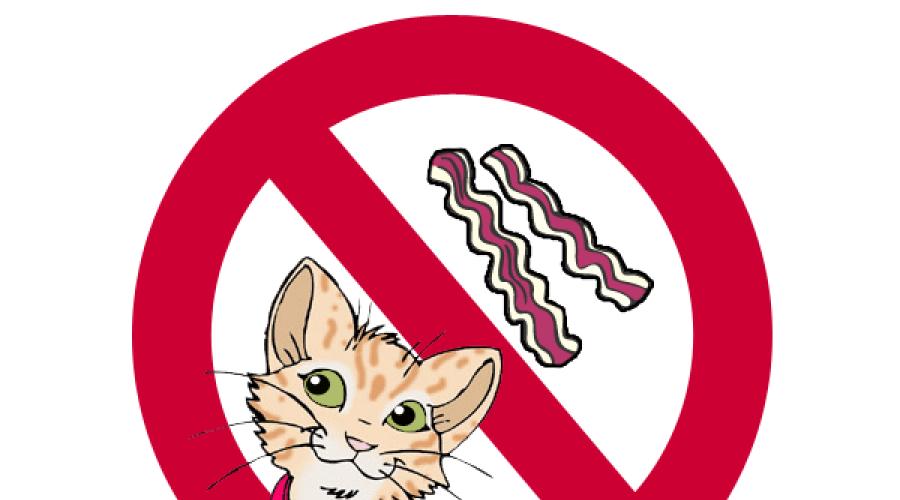 Чем нельзя кормить кошек: правила здорового питания. Можно ли давать кошке сырое мясо: правила кормления котят и кастрированных котов Можно ли кота кормить свининой