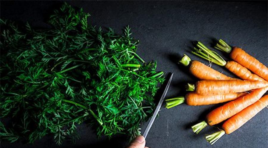 Ботва моркови лечебные свойства рецепты. С чем сочетается
