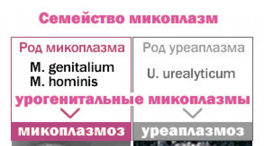 Микоплазмоз у женщин - симптомы, причины возникновения и препараты для лечения. Препараты от микоплазмы