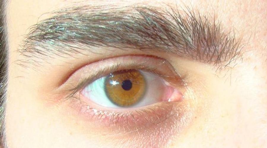 Как определить цвет глаз? Что означает цвет глаз? Фото и видео. Цвет глаз человека: значение и изменение цвета глаз, глаза разных цветов