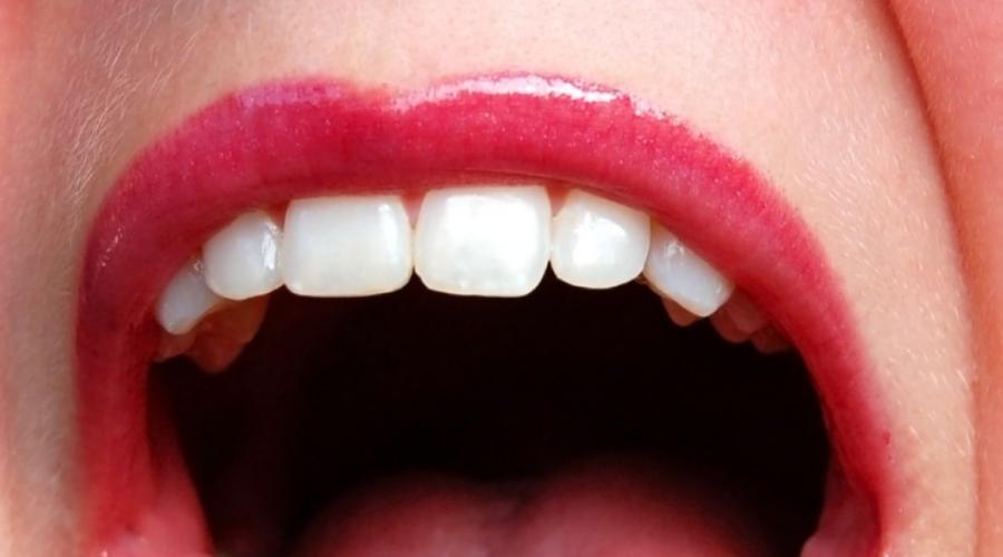 Полость рта и ее функции. Анатомия ротовой полости человека