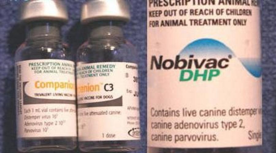 Вакцина вангард для собак отзывы. Нобивак. Вакцина Нобивак DHP. Вангард 5 вакцина для собак. Нобивак КС.