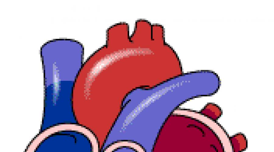 Что значат приглушенные тоны сердца. Что такое тоны? Характеристика тонов и очередность прослушивания
