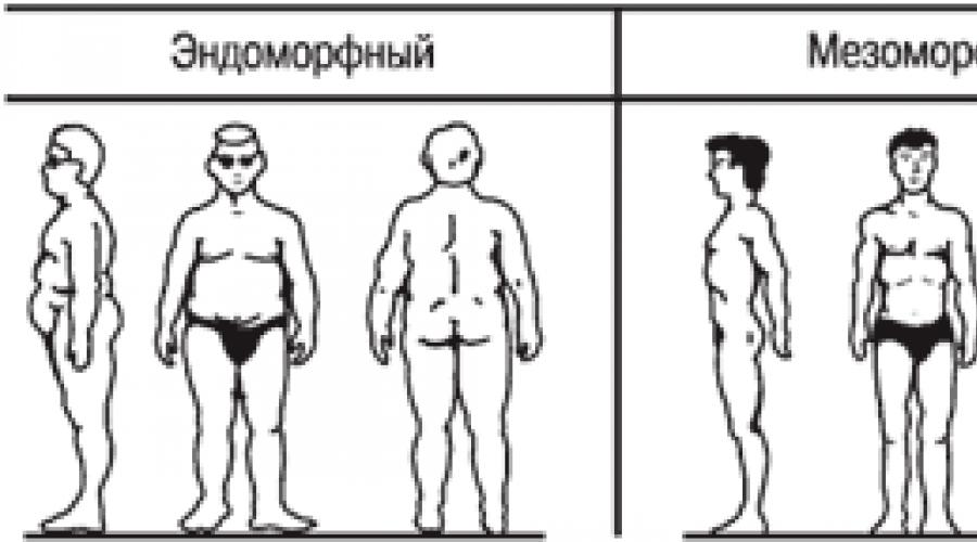 Теория темперамента шелдона. У Шелдон конституциональная теория темперамента. Конституциональная теория Кречмера. Долихоморфный Тип тела. Уильям Шелдон типы телосложения.