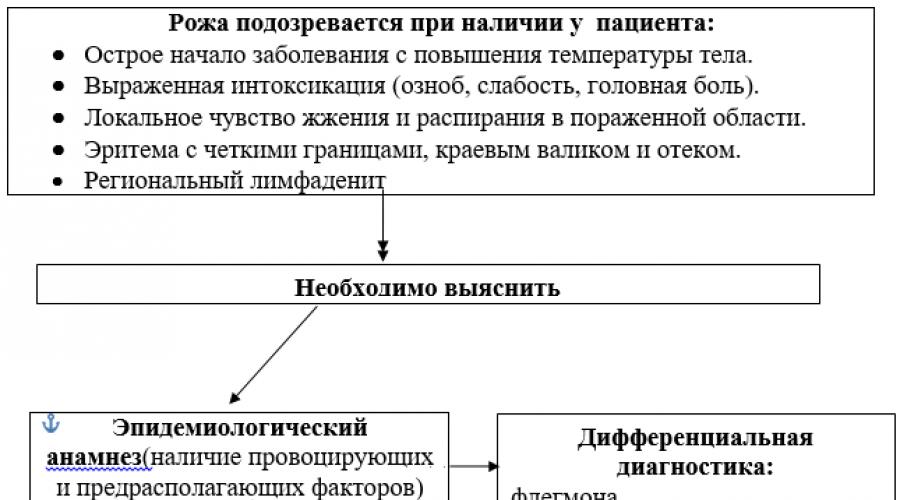 Рожа заболевание патогенез что это такое картинки