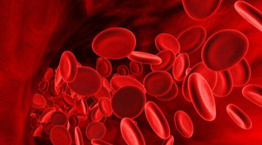 Красные кровяные тельца. Железо в красных кровяных тельцах. Фото эритроцитов крови.