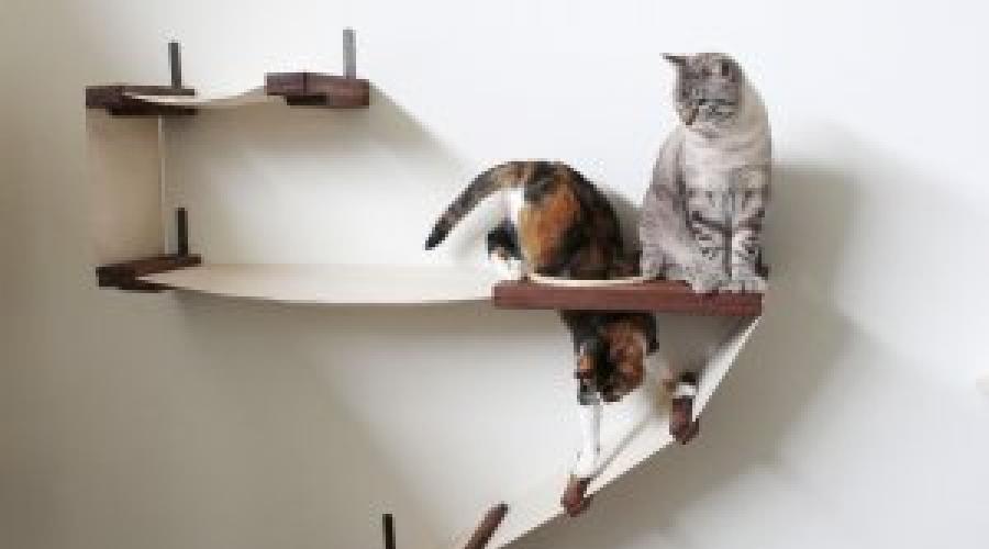 Дом кошки цилиндр как сделать размеры. Делаем дом для кошки своими руками: выбор материалов и пошаговые мастер-классы