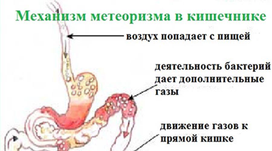 Почему после супа урчит живот