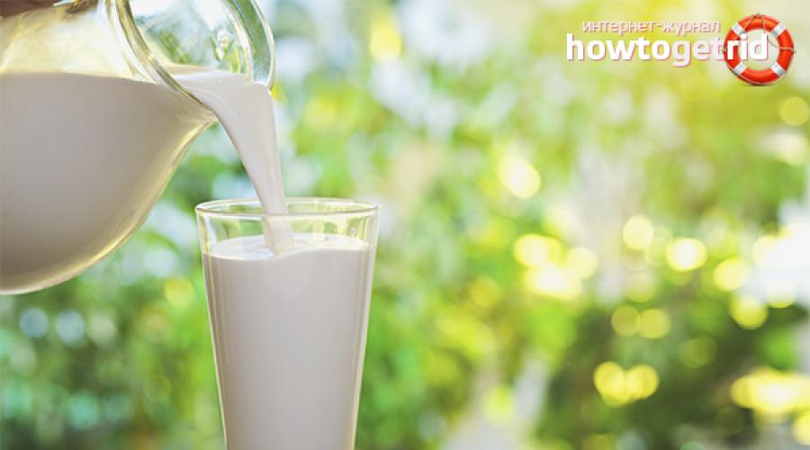 Чем полезно молоко? Что говорят врачи? Полезные свойства молока: противопоказания, польза и вред. 