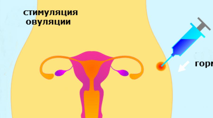 Стимуляция овуляции. Гормональная стимуляция овуляции. Стимуляторы овуляции для эко. Гормональная стимуляция суперовуляции.