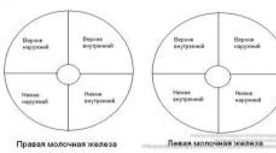 Наружном квадранте. Квадранты молочной железы схема. Верхне-наружный Квадрант молочной железы. Нижне внутренний Квадрант молочной железы. Нижний наружный Квадрант молочной железы.