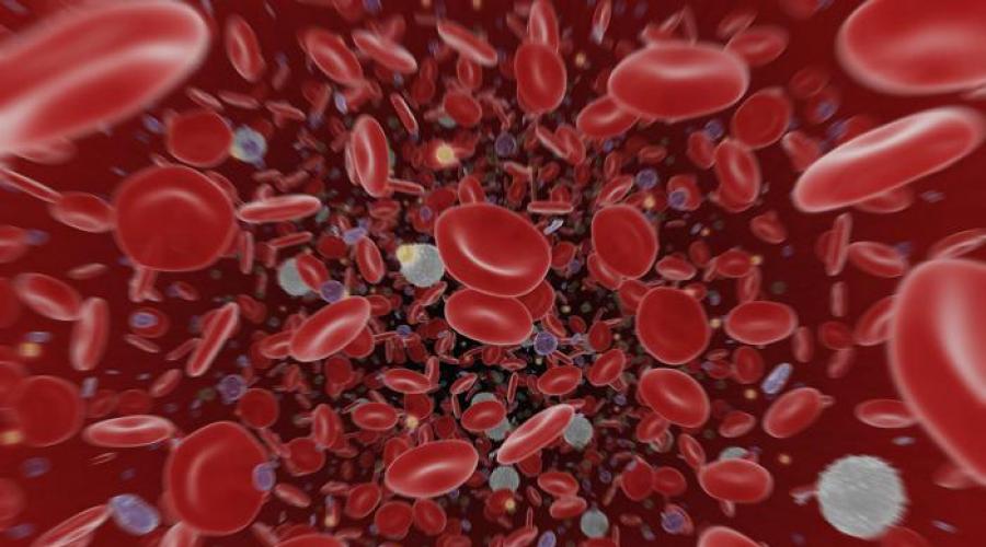 Где в организме образуются клетки крови? О чем расскажут клетки крови? Виды клеток крови их функции. 