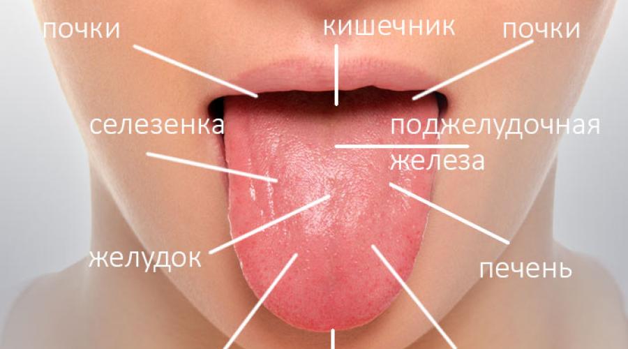 Как правильно чистить язык. Как убрать налет с языка Что лучше очищает полость рта