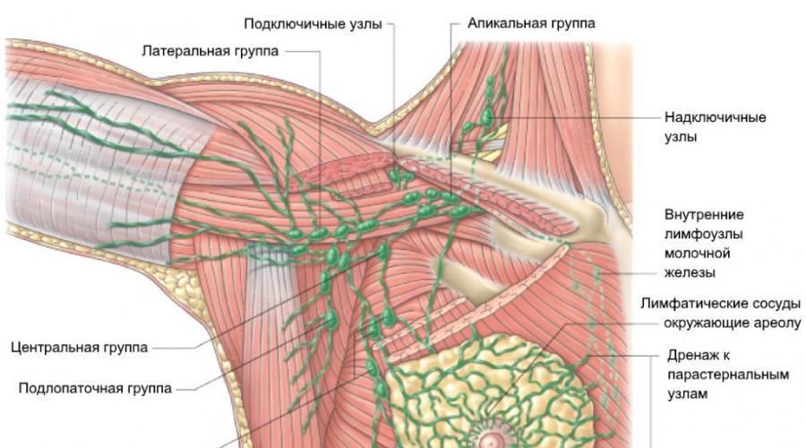 Где у женщины расположены лимфоузлы. Подмышечные лимфоузлы схема расположение. Воспаление лимфатические узлы грудные железы.