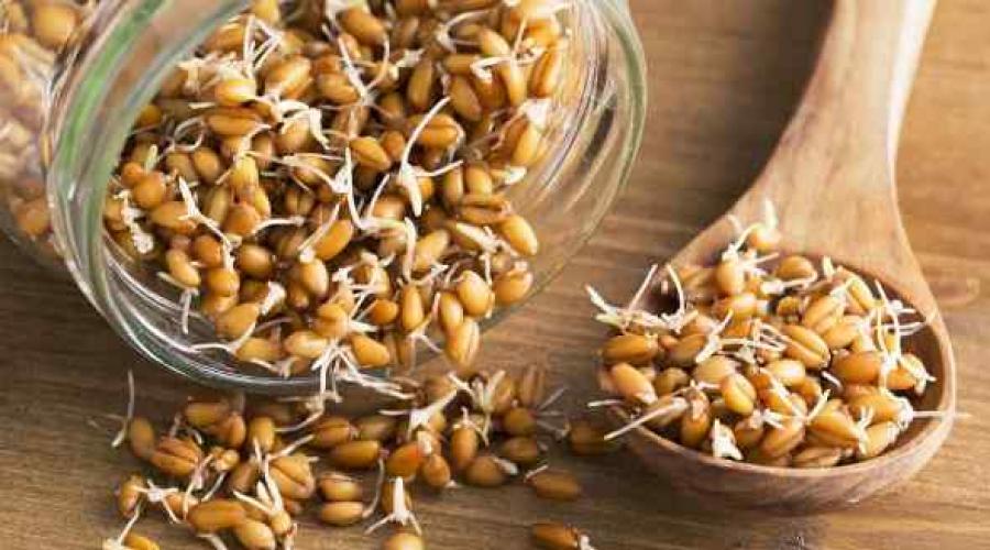 Как выглядит пророщенная пшеница для еды. Как проращивать пшеницу дома, самая подробная инструкция