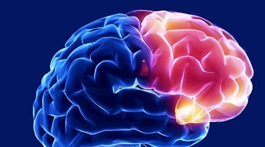 Медпрепараты для улучшения памяти. Какие препараты нужно пить для улучшения работы головного мозга и памяти? Препараты для улучшения памяти и концентрации внимания детям, взрослым и пожилым людям