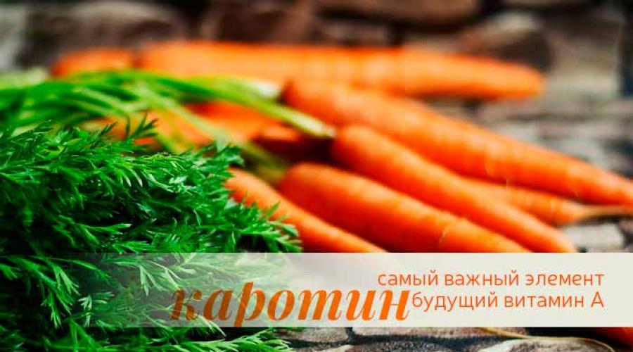 Капли на основе моркови. Морковь польза и вред для организма свежая. Можно морковь кормящим