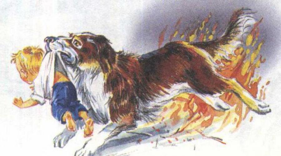 Лев Толстой: Пожарные собаки. Читать бесплатно книгу пожарные собаки - толстой лев Лев николаевич толстой пожарные собаки читать