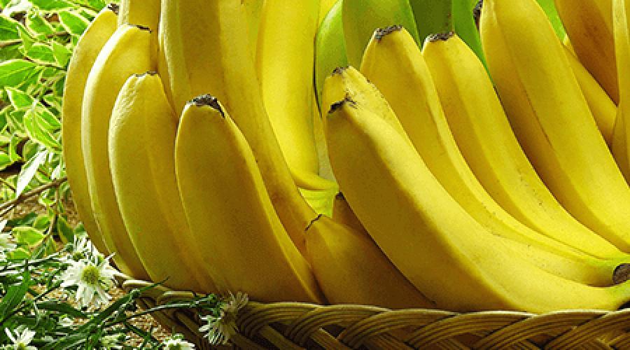Могут ли бананы нанести вред здоровью? Мифы и правда о вредных свойствах бананов. Выбираем правильные фрукты