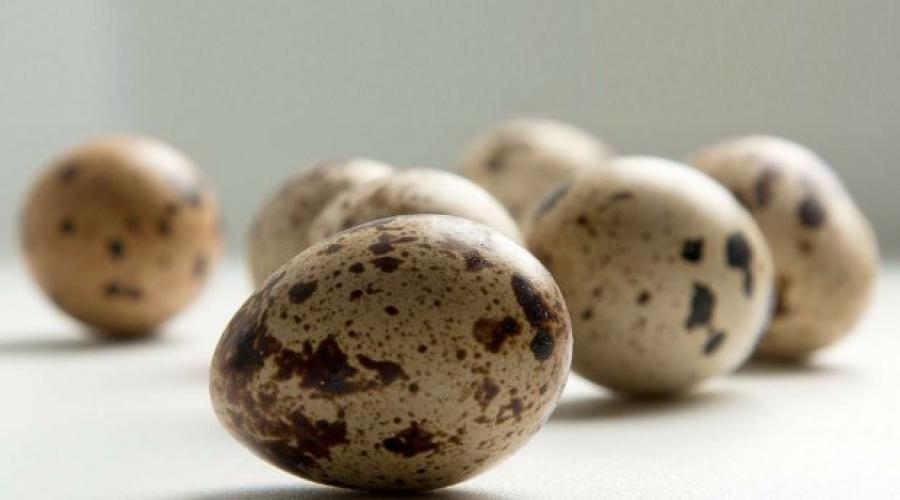 Перепелиные яйца — польза и вред для мужчин. Перепелиные яйца: маленькое чудо природы с большой пользой для здоровья