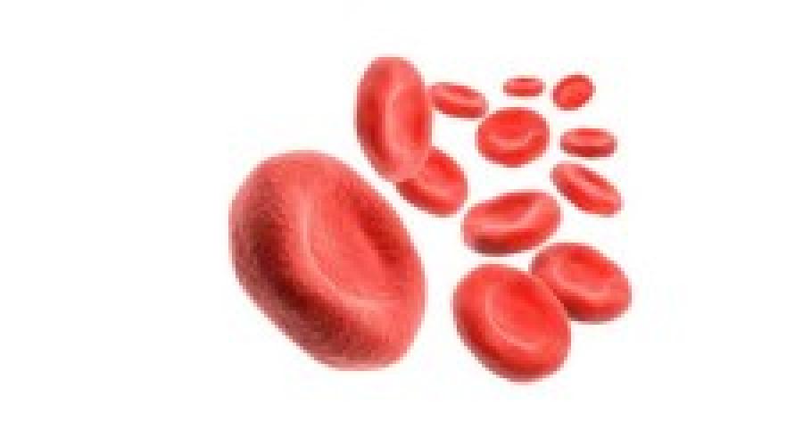Способы очищения крови в домашних условиях. Как чистят кровь в медицине и в домашних условиях: современные и народные способы