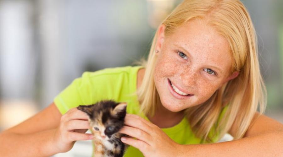 Советы родителям: если ребенок хочет завести кота. Что делать, если ребенок просит котенка? Ребёнок просит котёнка