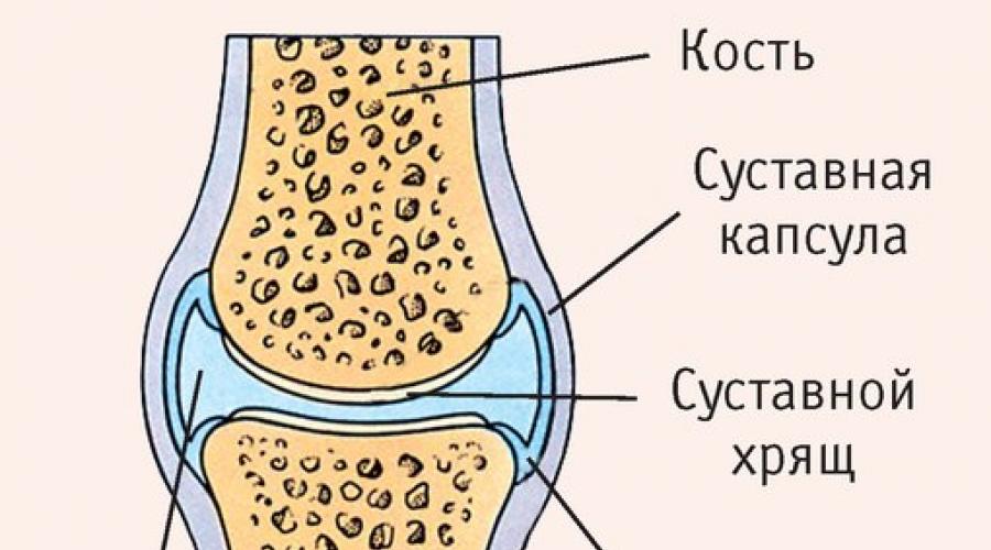 Суставная капсула. Разрыв суставной капсулы. Синовиальная жидкость в позвоночнике. Разрыв капсулы сустава кисти. Разрыв суставной капсулы позвоночника.